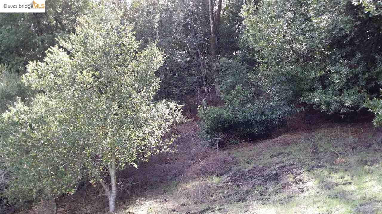 8950 Crow Canyon Rd, CASTRO VALLEY, California 94552, ,Lots And Land,For Sale,Crow Canyon Rd,40965148