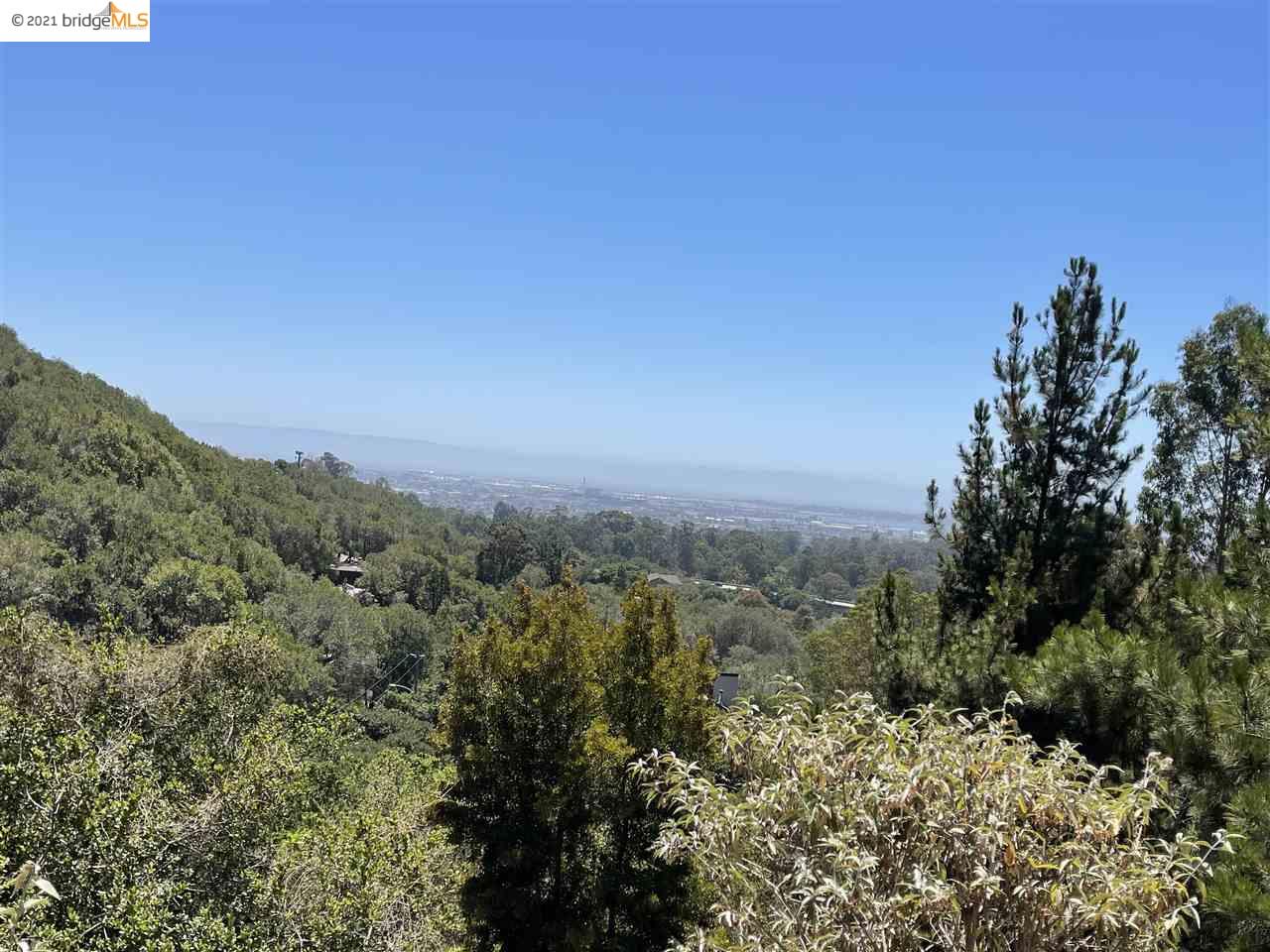 Leona St, OAKLAND, California 94605, ,Lots And Land,For Sale,Leona St,40965170