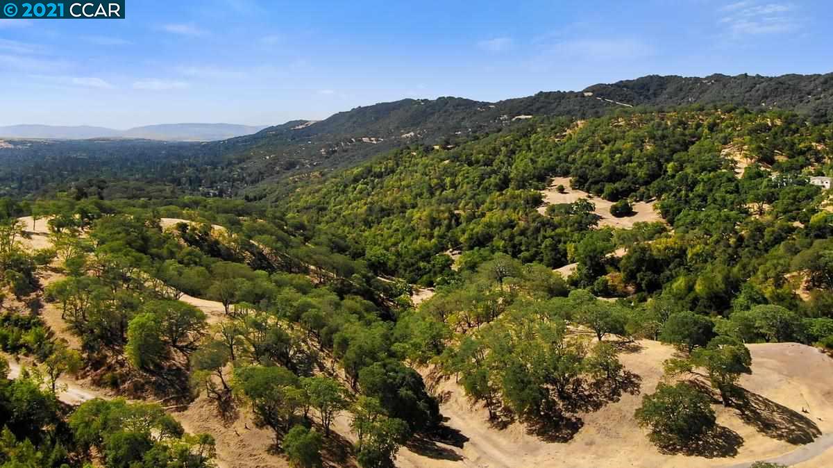 2300 Ridgewood Rd, ALAMO, California 94507, ,Lots And Land,For Sale,Ridgewood Rd,40965209