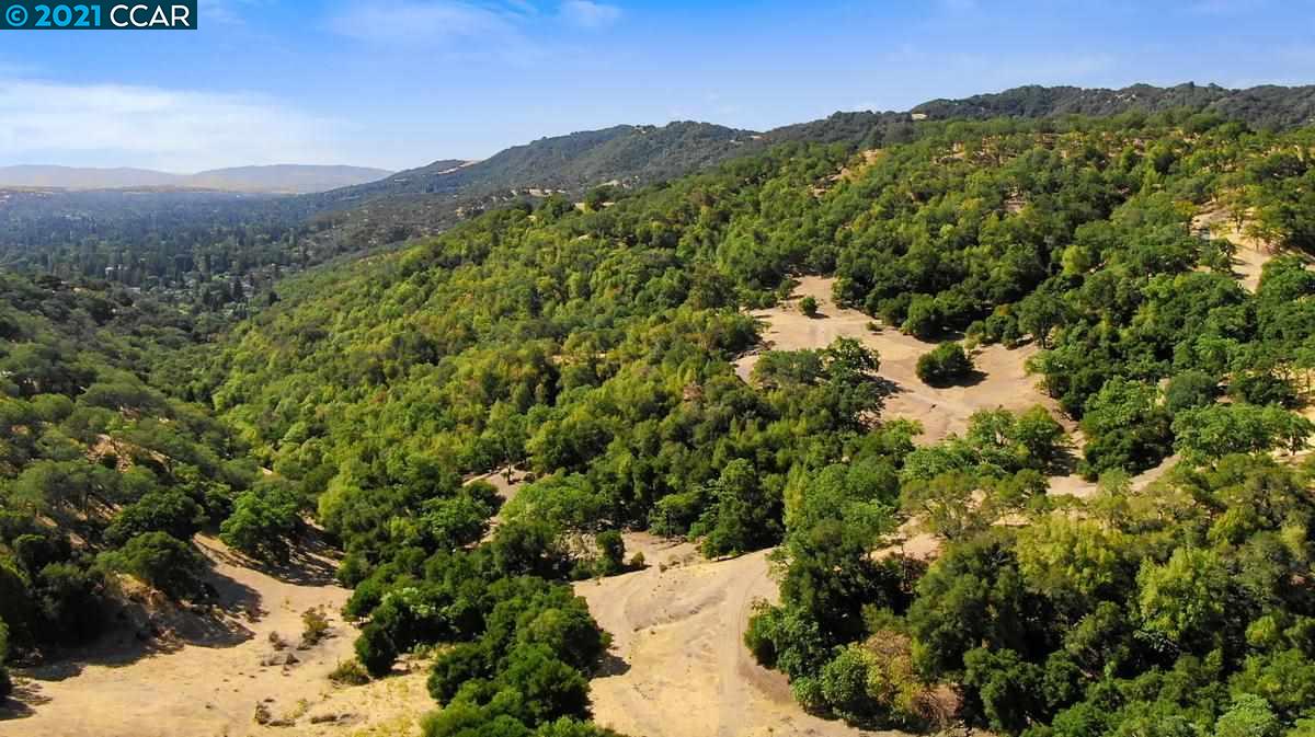 2300 Ridgewood Rd, ALAMO, California 94507, ,Lots And Land,For Sale,Ridgewood Rd,40965209