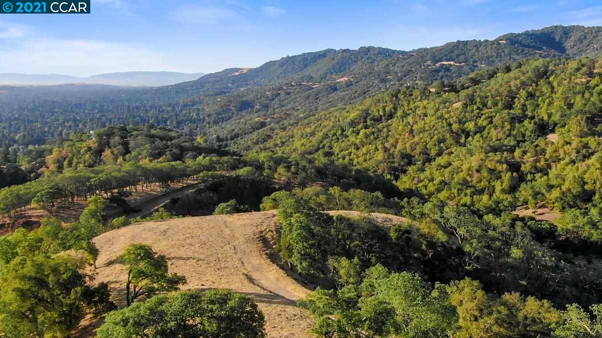 2300 Ridgewood Rd, ALAMO, California 94507, ,Lots And Land,For Sale,Ridgewood Rd,40965209