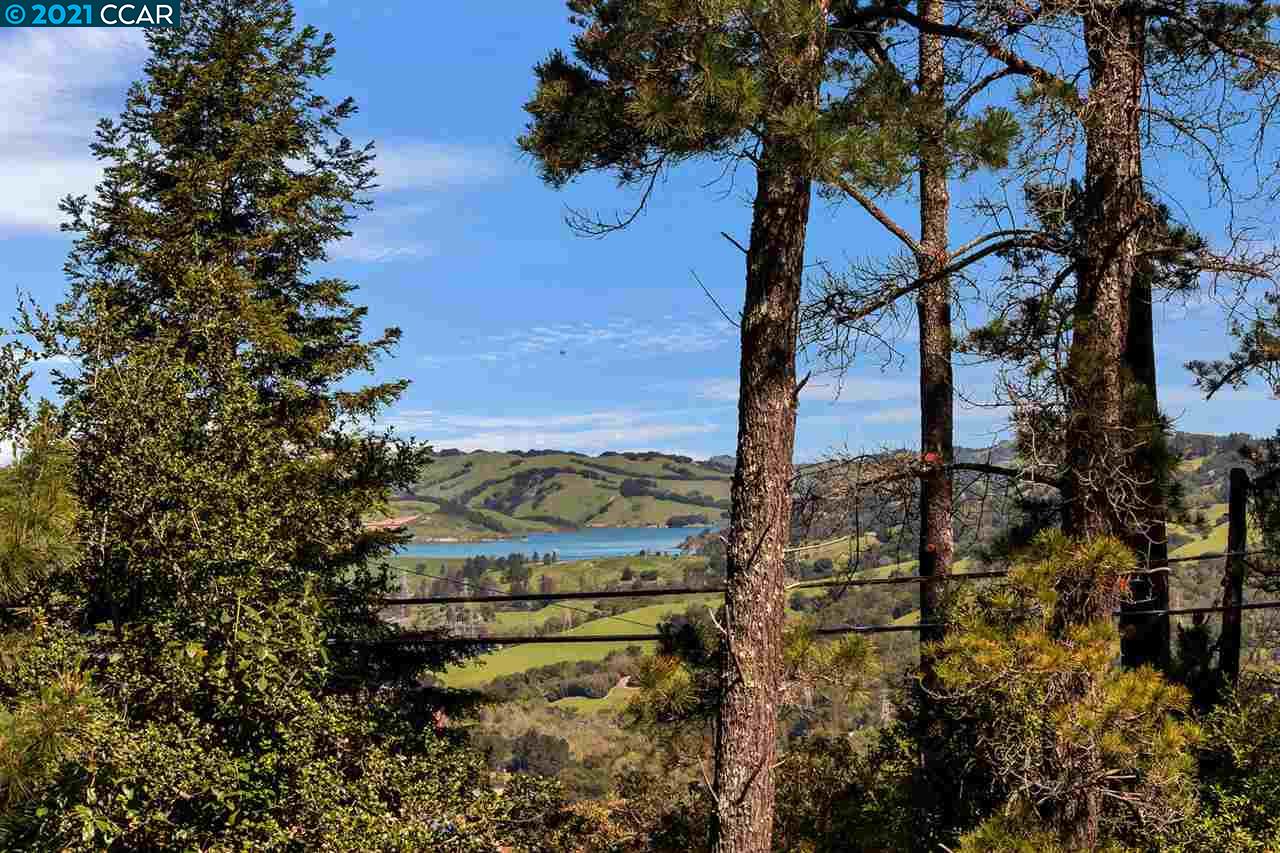 221 El Toyonal, ORINDA, California 94563, ,Lots And Land,For Sale,El Toyonal,40965219