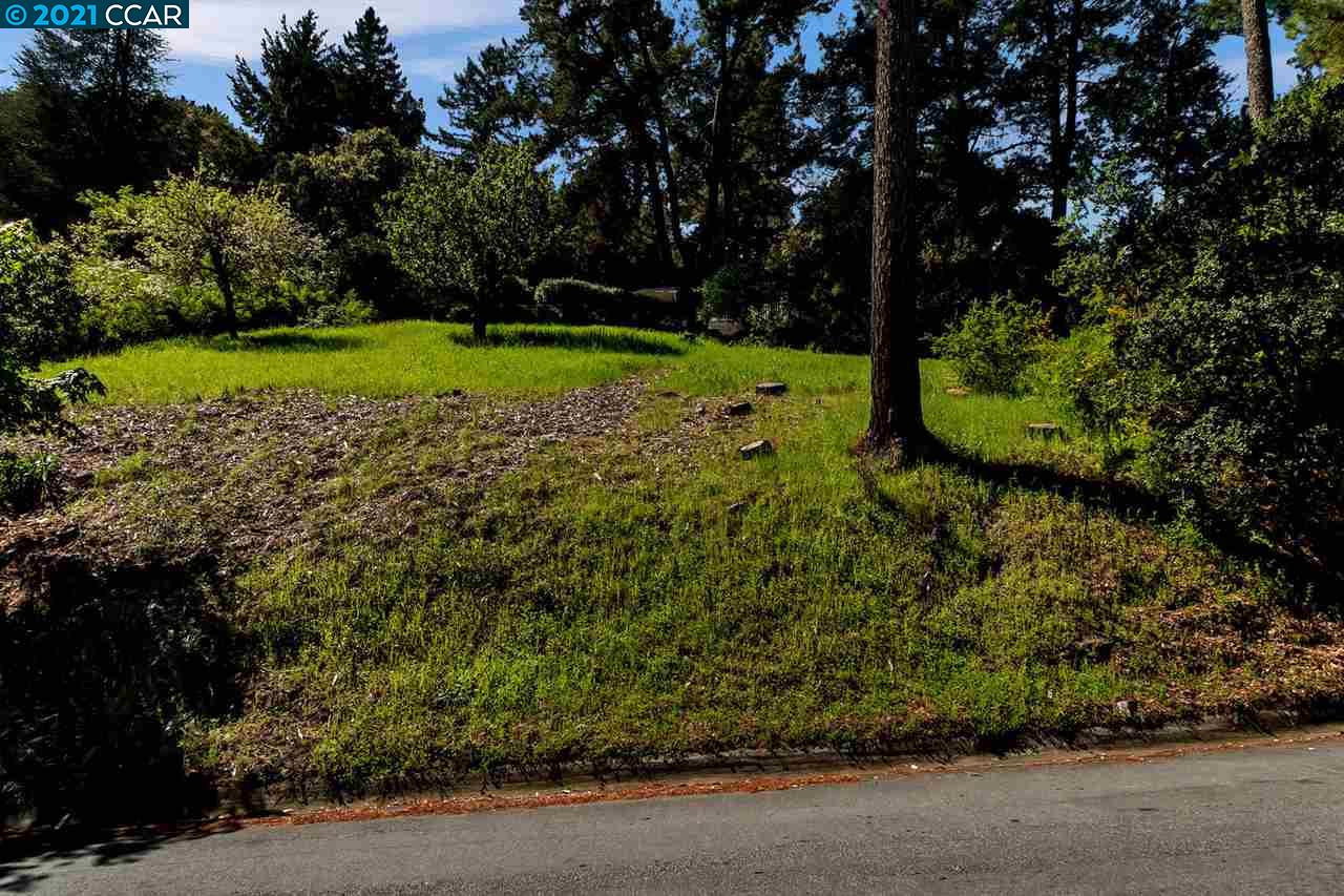 221 El Toyonal, ORINDA, California 94563, ,Lots And Land,For Sale,El Toyonal,40965219