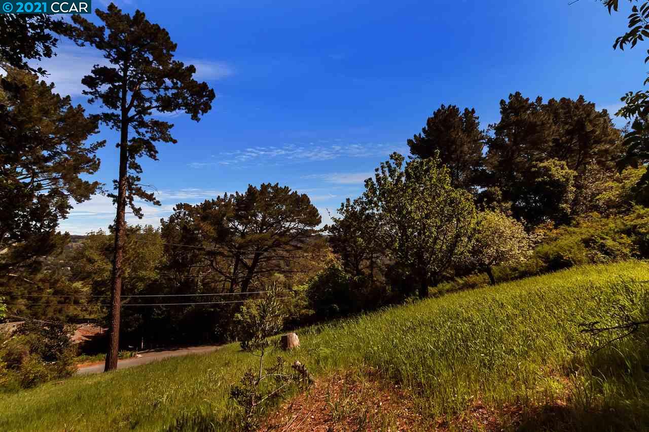 221 El Toyonal, ORINDA, California 94563, ,Lots And Land,For Sale,El Toyonal,40965219