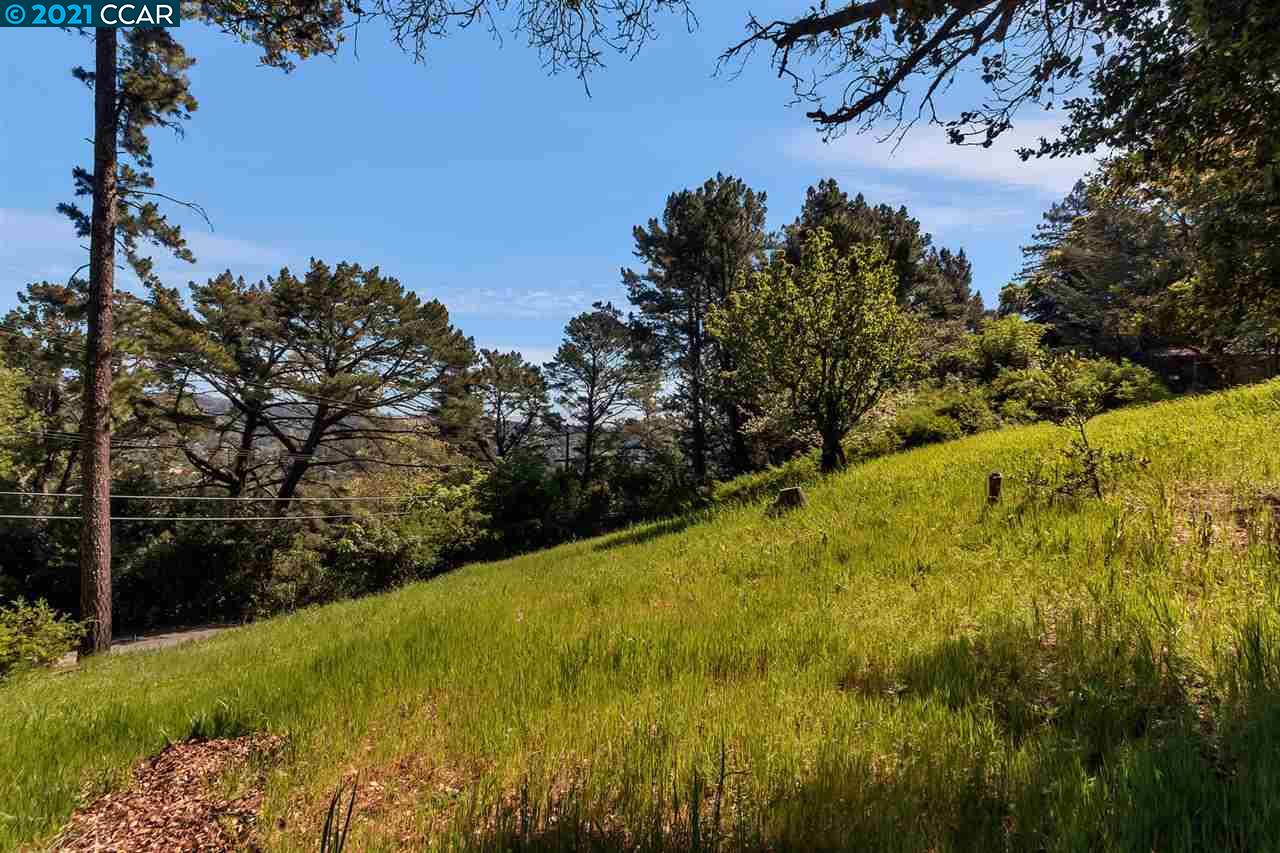 221 El Toyonal, ORINDA, California 94563, ,Lots And Land,For Sale,El Toyonal,40965219