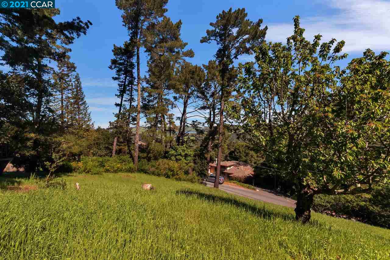 221 El Toyonal, ORINDA, California 94563, ,Lots And Land,For Sale,El Toyonal,40965219