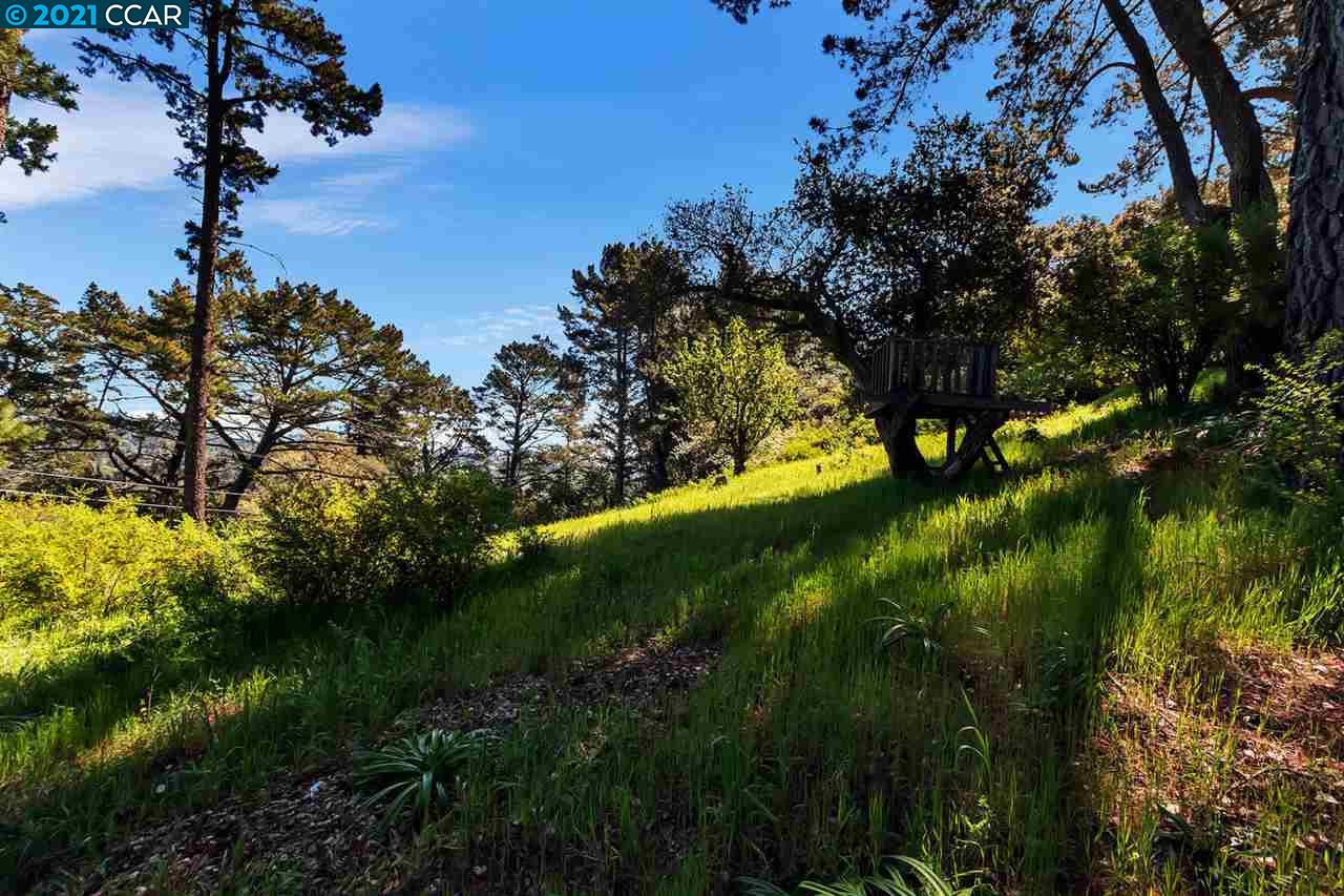 221 El Toyonal, ORINDA, California 94563, ,Lots And Land,For Sale,El Toyonal,40965219