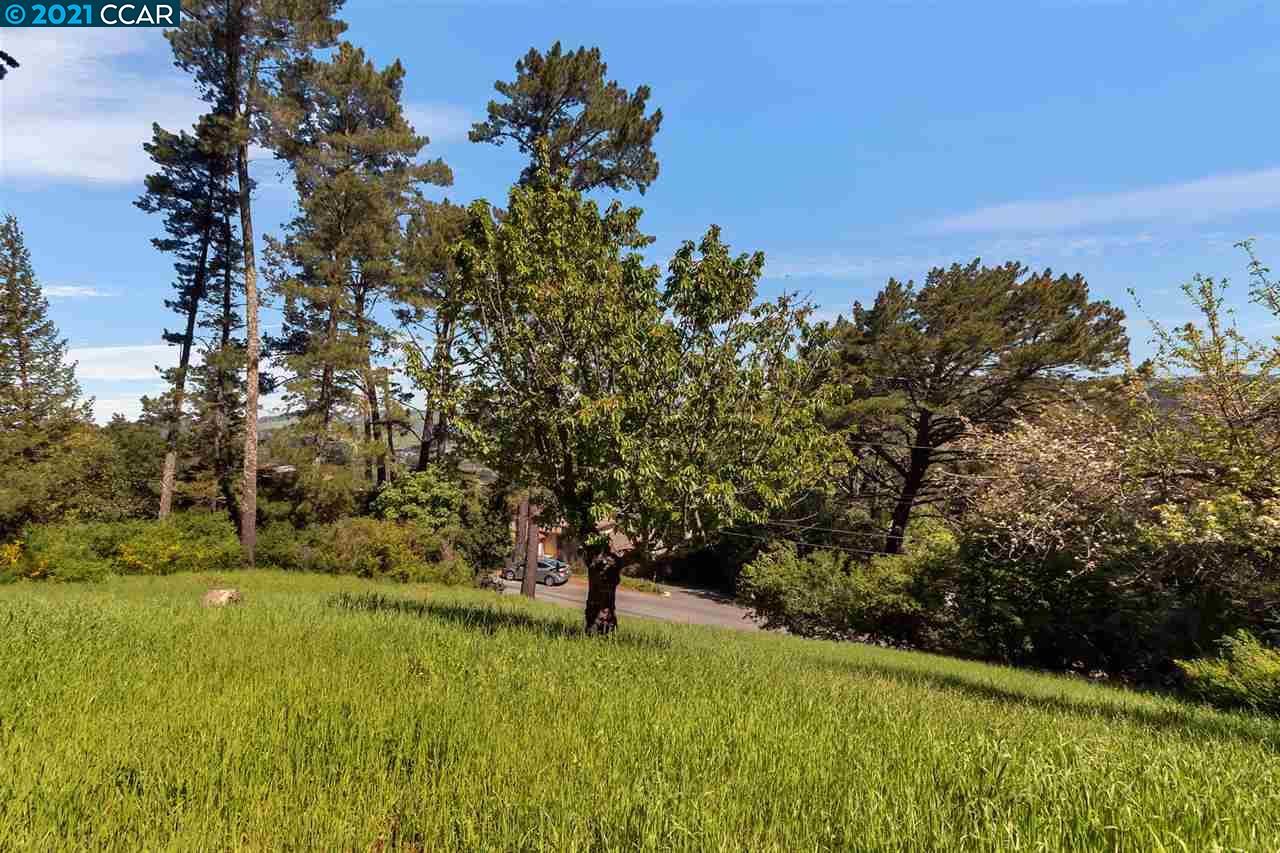 221 El Toyonal, ORINDA, California 94563, ,Lots And Land,For Sale,El Toyonal,40965219