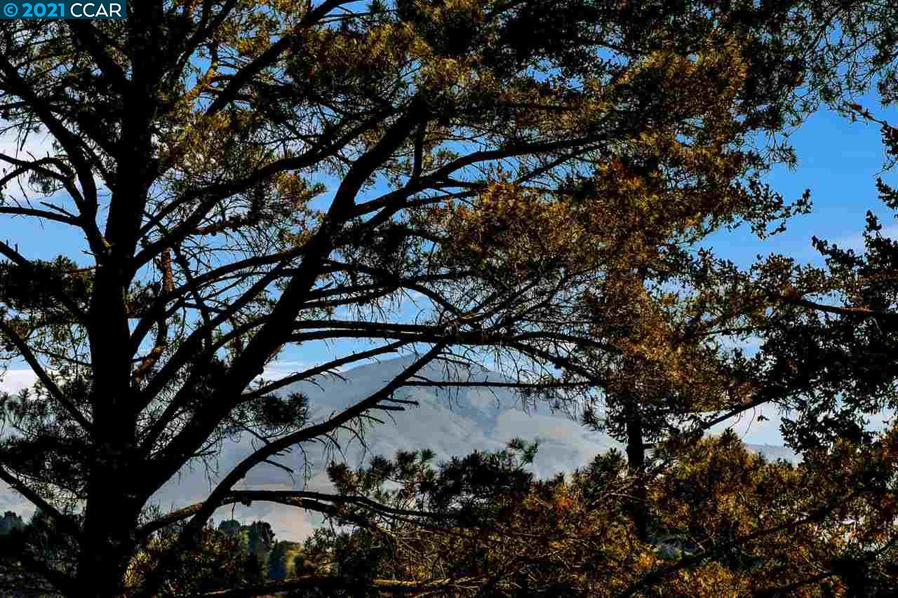 221 El Toyonal, ORINDA, California 94563, ,Lots And Land,For Sale,El Toyonal,40965219