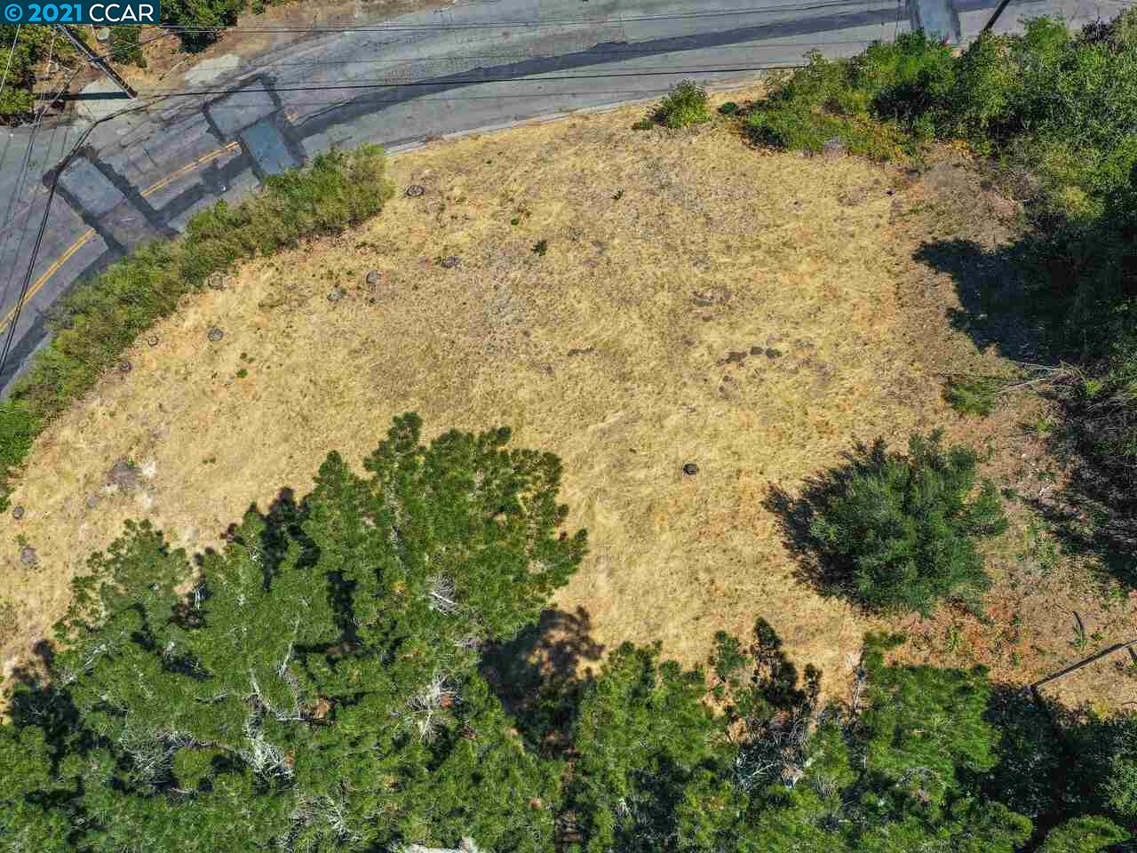 221 El Toyonal, ORINDA, California 94563, ,Lots And Land,For Sale,El Toyonal,40965219
