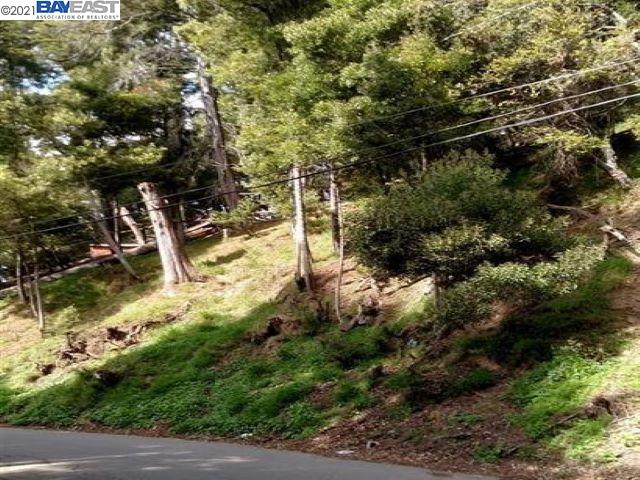 0 Scout Rd, OAKLAND, California 94603, ,Lots And Land,For Sale,Scout Rd,40965223