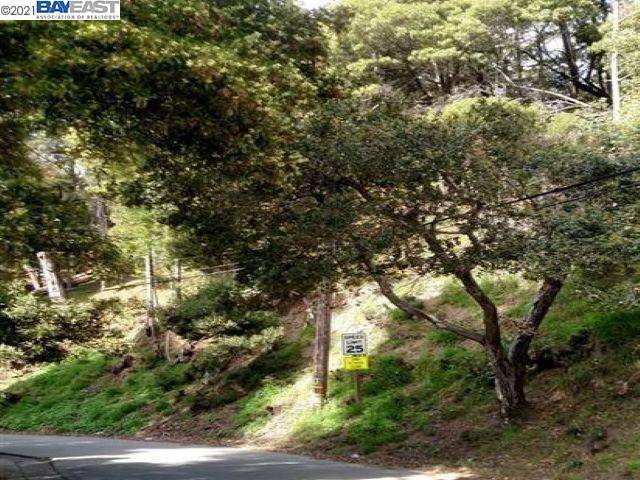 0 Scout Rd, OAKLAND, California 94603, ,Lots And Land,For Sale,Scout Rd,40965223