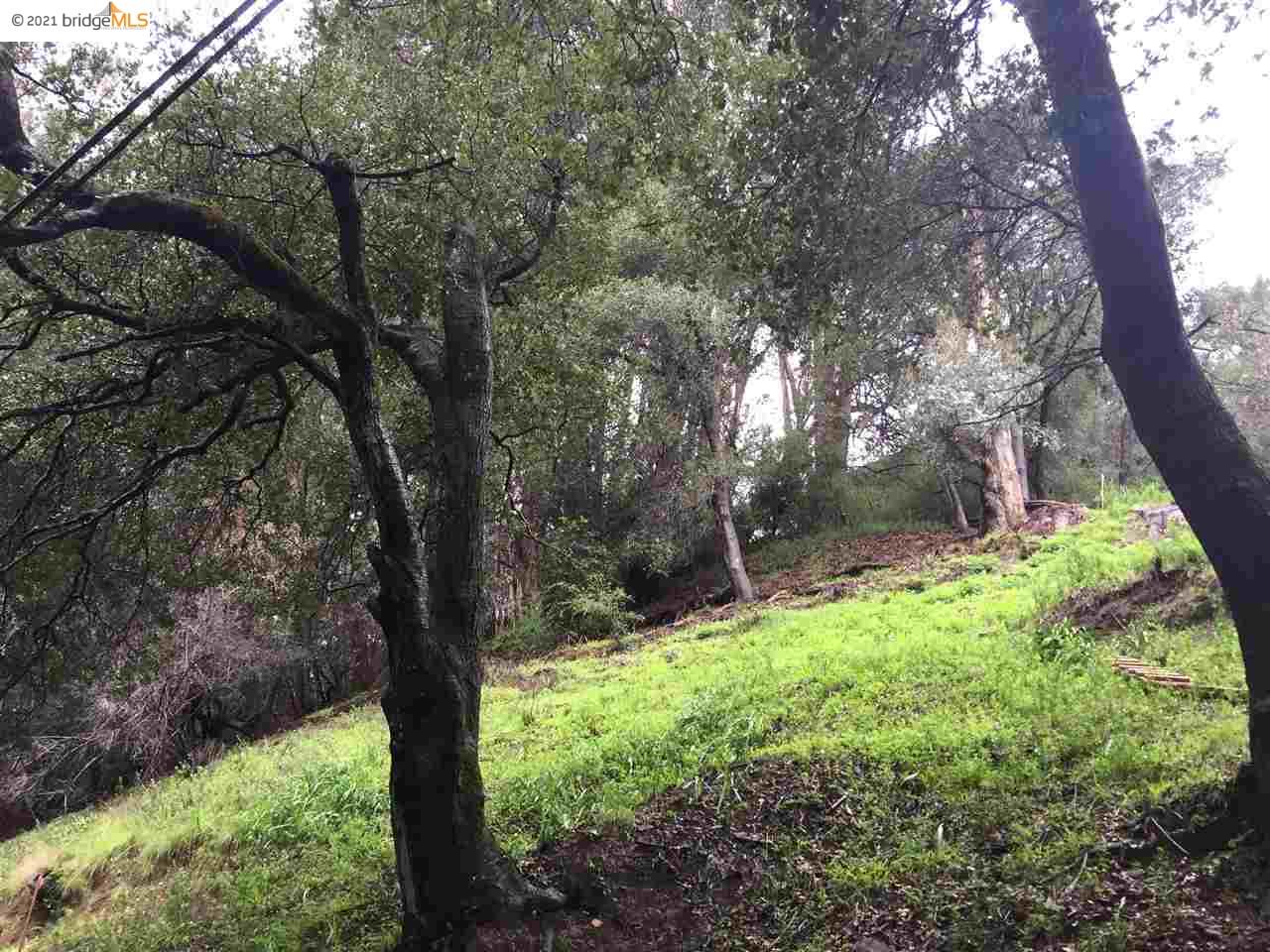 1880 Gouldin Rd, OAKLAND, California 94611, ,Lots And Land,For Sale,Gouldin Rd,40965225