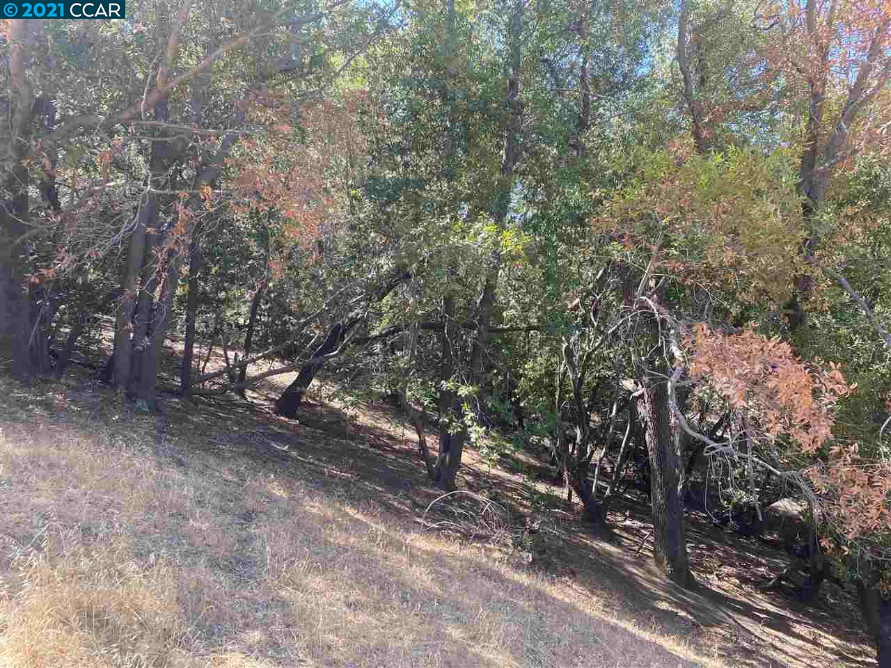 0 Wanda Way, MARTINEZ, California 94553, ,Lots And Land,For Sale,Wanda Way,40965240