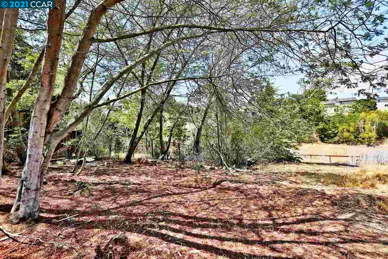 75 FREY PLACE, VALLEJO, California 94590, ,Lots And Land,For Sale,FREY PLACE,40965290