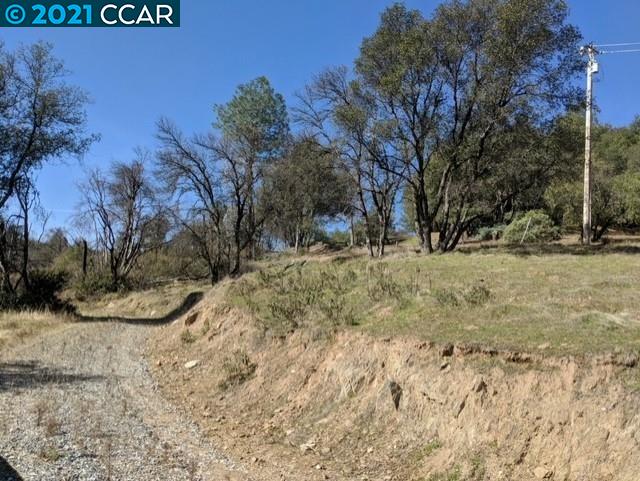 8266 Sheep Ranch Rd, MOUNTAIN RANCH, California 95246, ,Lots And Land,For Sale,Sheep Ranch Rd,40965293