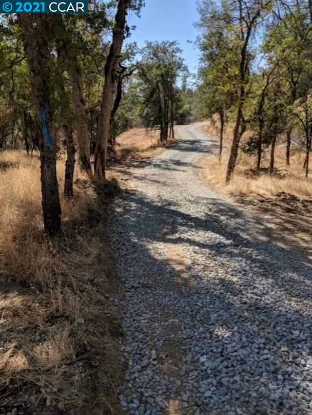 8266 Sheep Ranch Rd, MOUNTAIN RANCH, California 95246, ,Lots And Land,For Sale,Sheep Ranch Rd,40965293