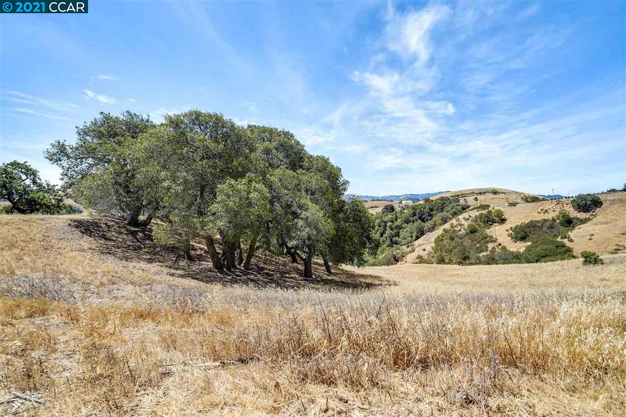 129 Rancho de la Rosa, MARTINEZ, California 94553, ,Lots And Land,For Sale,Rancho de la Rosa,40965301