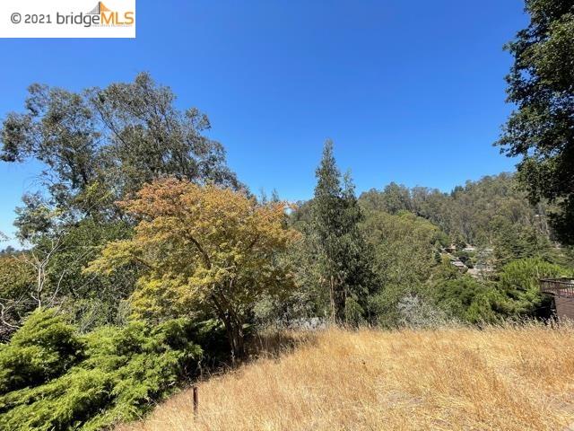 6502 Heather Ridge Way, OAKLAND, California 94611, ,Lots And Land,For Sale,Heather Ridge Way,40965305