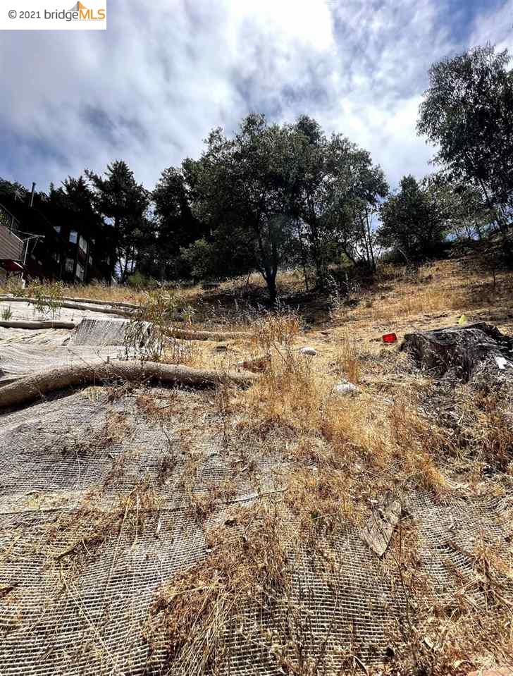 6502 Heather Ridge Way, OAKLAND, California 94611, ,Lots And Land,For Sale,Heather Ridge Way,40965305