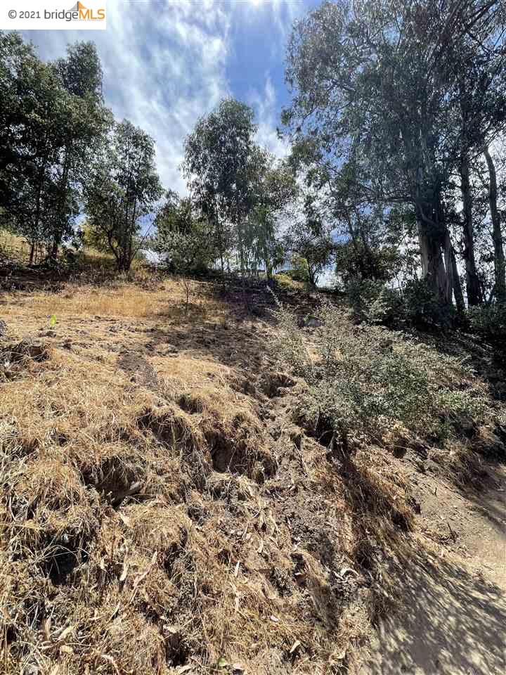 6502 Heather Ridge Way, OAKLAND, California 94611, ,Lots And Land,For Sale,Heather Ridge Way,40965305
