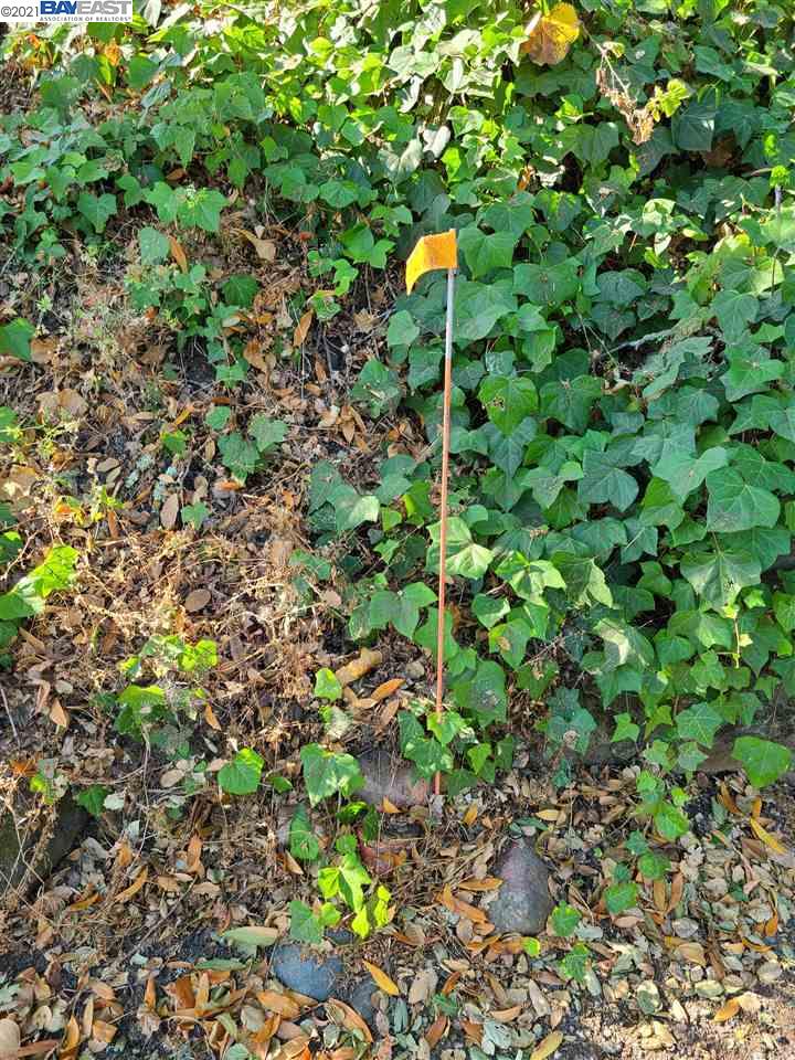 88 Brookwood Rd, ORINDA, California 94563, ,Lots And Land,For Sale,Brookwood Rd,40965306