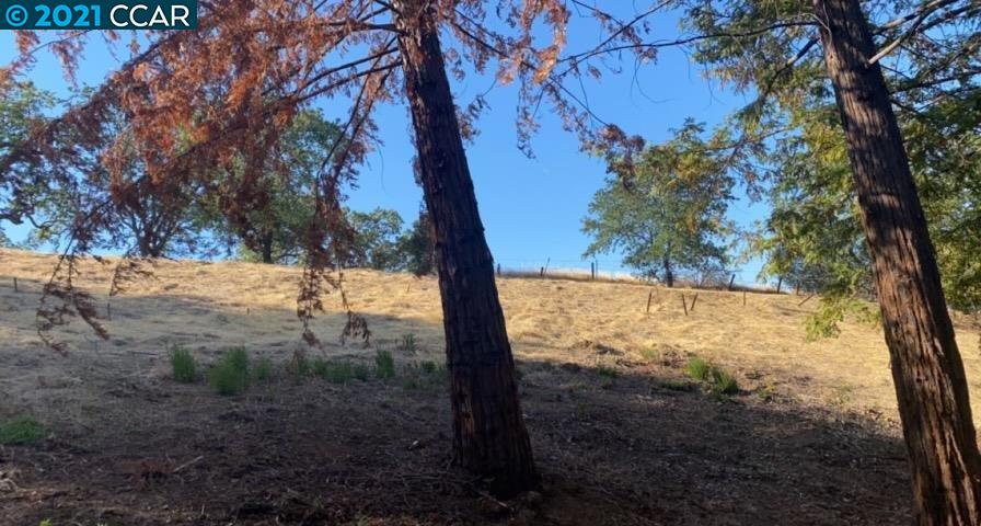 3 Benthill Ct, LAFAYETTE, California 94549, ,Lots And Land,For Sale,Benthill Ct,40965307