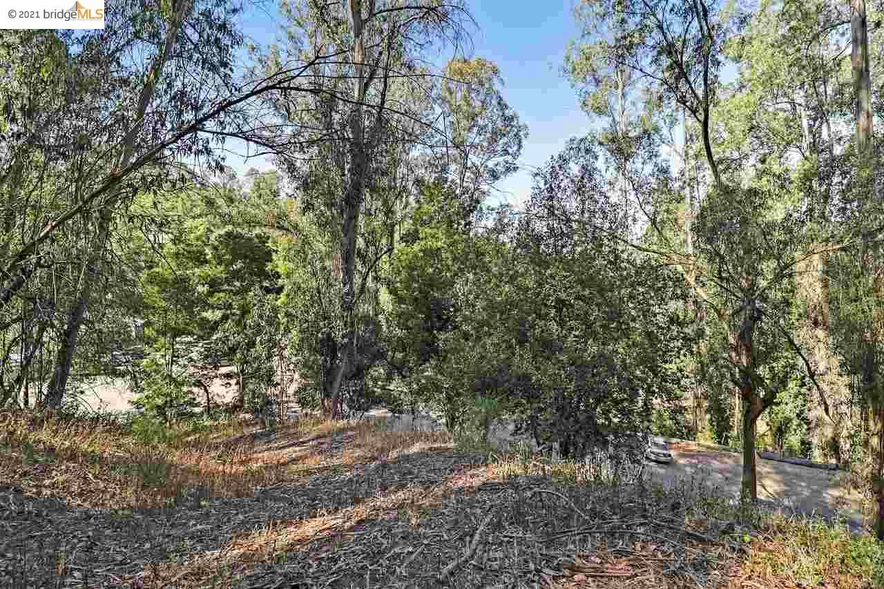Thornhill Dr, OAKLAND, California 94611, ,Lots And Land,For Sale,Thornhill Dr,40965316