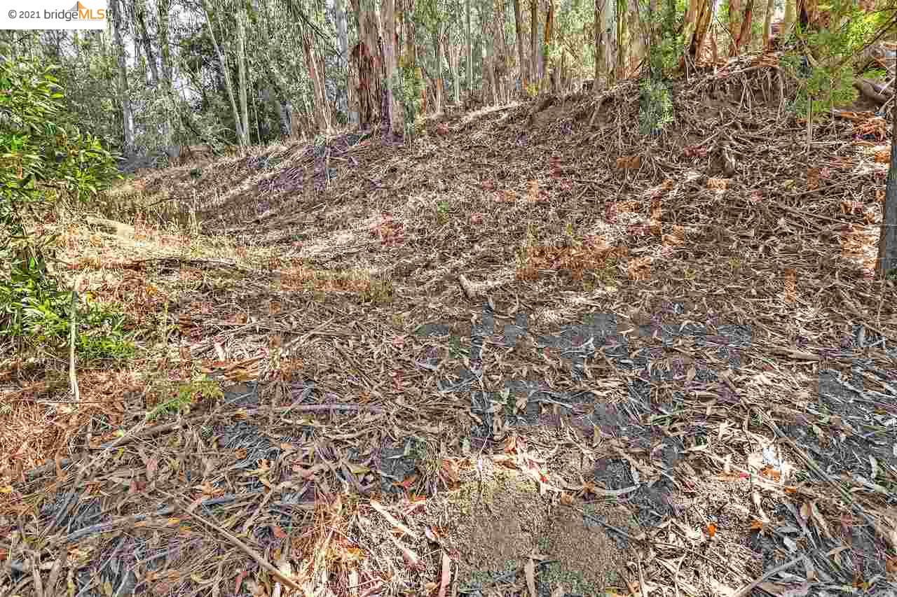 Thornhill Dr, OAKLAND, California 94611, ,Lots And Land,For Sale,Thornhill Dr,40965316