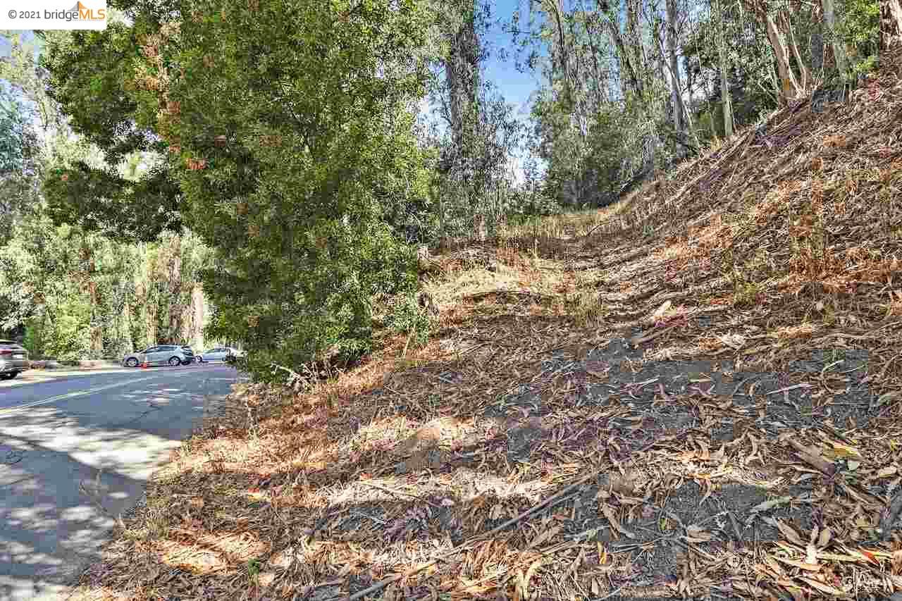Thornhill Dr, OAKLAND, California 94611, ,Lots And Land,For Sale,Thornhill Dr,40965316