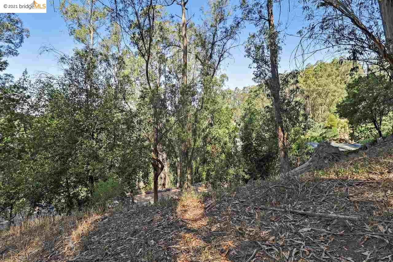 Thornhill Dr, OAKLAND, California 94611, ,Lots And Land,For Sale,Thornhill Dr,40965316