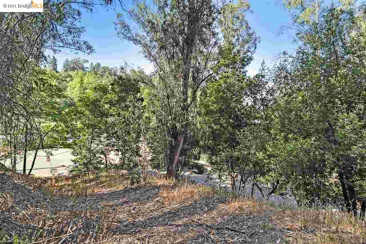 Thornhill Dr, OAKLAND, California 94611, ,Lots And Land,For Sale,Thornhill Dr,40965316