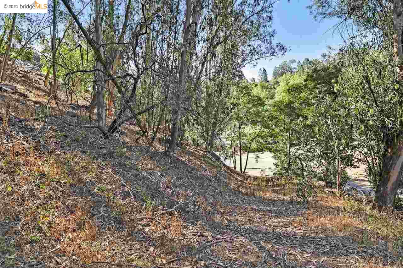 Thornhill Dr, OAKLAND, California 94611, ,Lots And Land,For Sale,Thornhill Dr,40965316