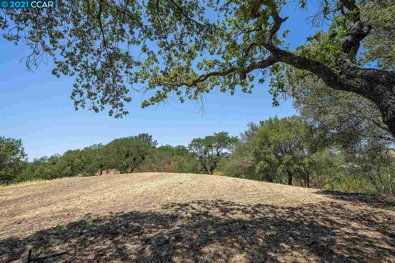 3310 Phillips Rd, LAFAYETTE, California 94549, ,Lots And Land,For Sale,Phillips Rd,40965362