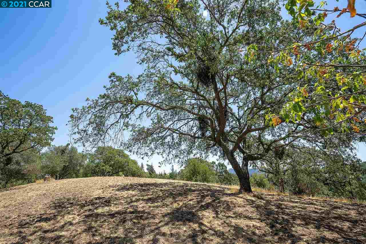 3310 Phillips Rd, LAFAYETTE, California 94549, ,Lots And Land,For Sale,Phillips Rd,40965362