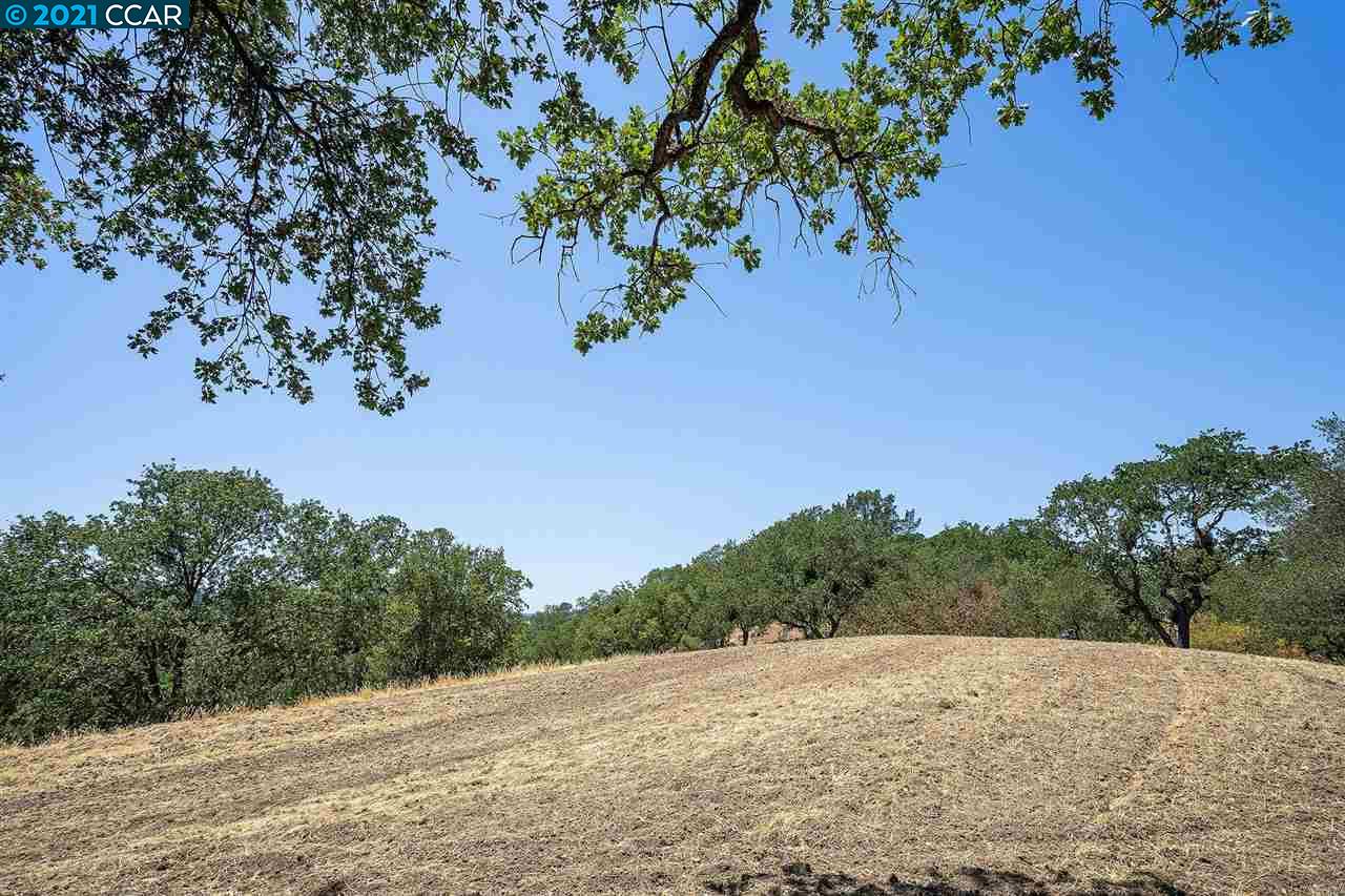 3310 Phillips Rd, LAFAYETTE, California 94549, ,Lots And Land,For Sale,Phillips Rd,40965362