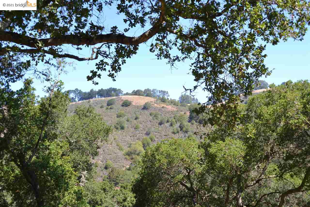 0 Siler Pl, BERKELEY, California 94705, ,Lots And Land,For Sale,Siler Pl,40965363