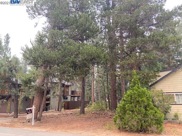 1129 Dedi Ave, SOUTH LAKE TAHOE, California 96150, ,Lots And Land,For Sale,Dedi Ave,40965404