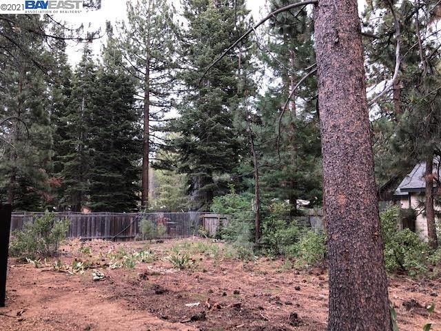 1129 Dedi Ave, SOUTH LAKE TAHOE, California 96150, ,Lots And Land,For Sale,Dedi Ave,40965404