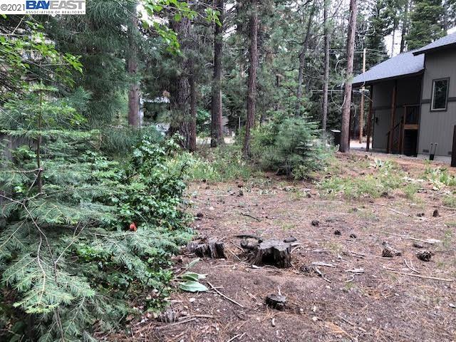 1129 Dedi Ave, SOUTH LAKE TAHOE, California 96150, ,Lots And Land,For Sale,Dedi Ave,40965404