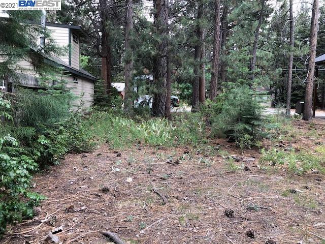 1129 Dedi Ave, SOUTH LAKE TAHOE, California 96150, ,Lots And Land,For Sale,Dedi Ave,40965404