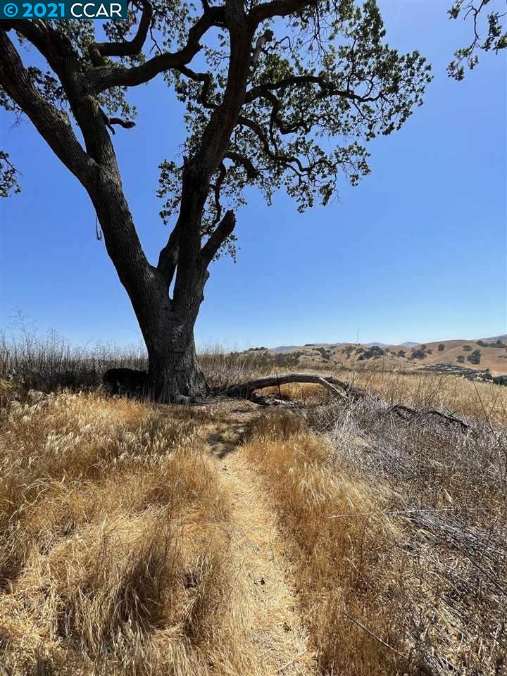 00 Hill Meadow Place, DANVILLE, California 94526, ,Lots And Land,For Sale,Hill Meadow Place,40965405