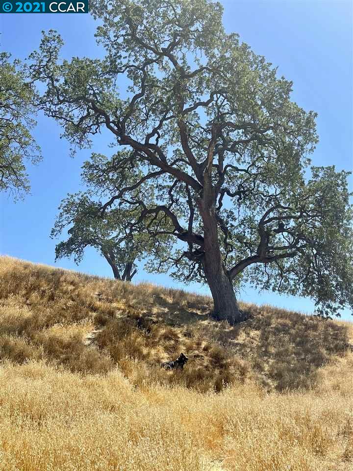 00 Hill Meadow Place, DANVILLE, California 94526, ,Lots And Land,For Sale,Hill Meadow Place,40965405