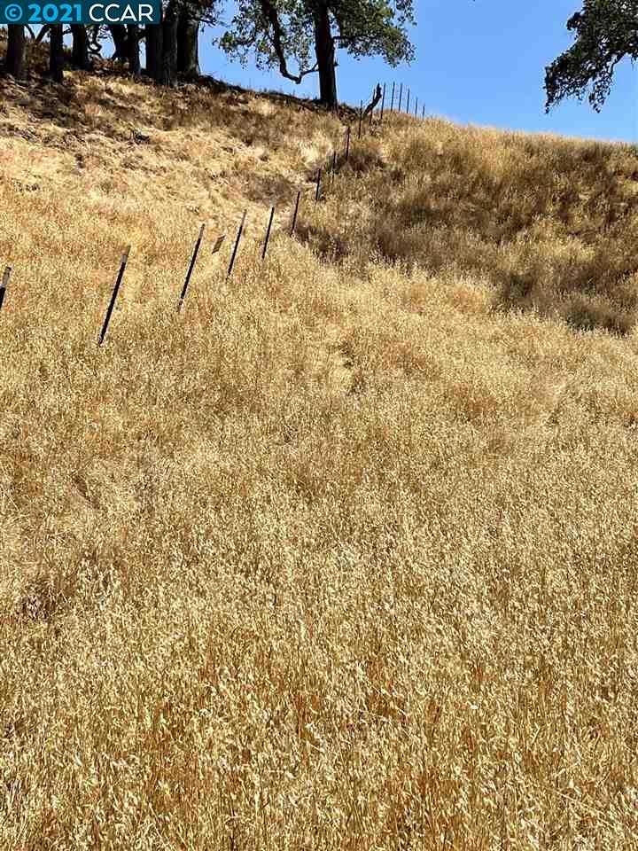 00 Hill Meadow Place, DANVILLE, California 94526, ,Lots And Land,For Sale,Hill Meadow Place,40965405
