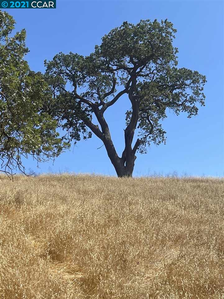 00 Hill Meadow Place, DANVILLE, California 94526, ,Lots And Land,For Sale,Hill Meadow Place,40965405