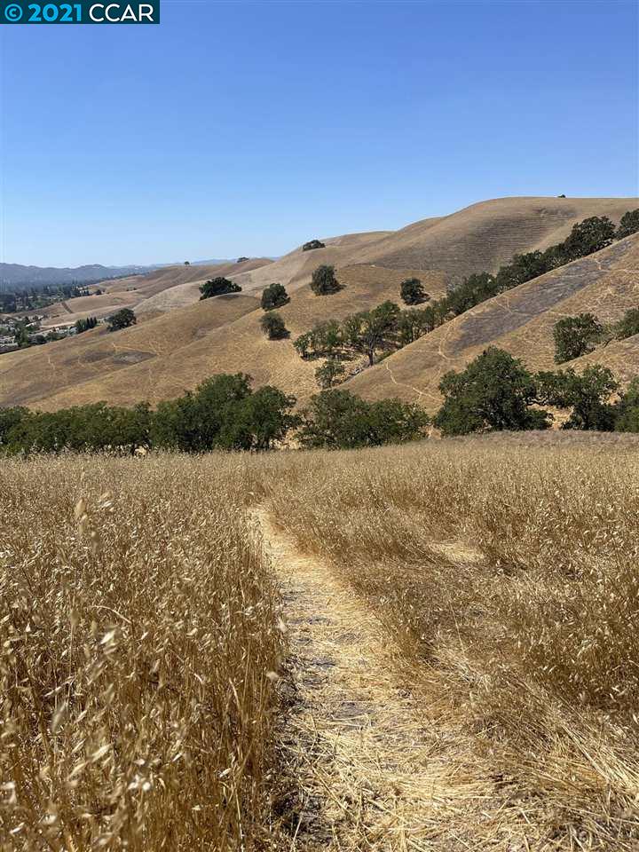 00 Hill Meadow Place, DANVILLE, California 94526, ,Lots And Land,For Sale,Hill Meadow Place,40965405