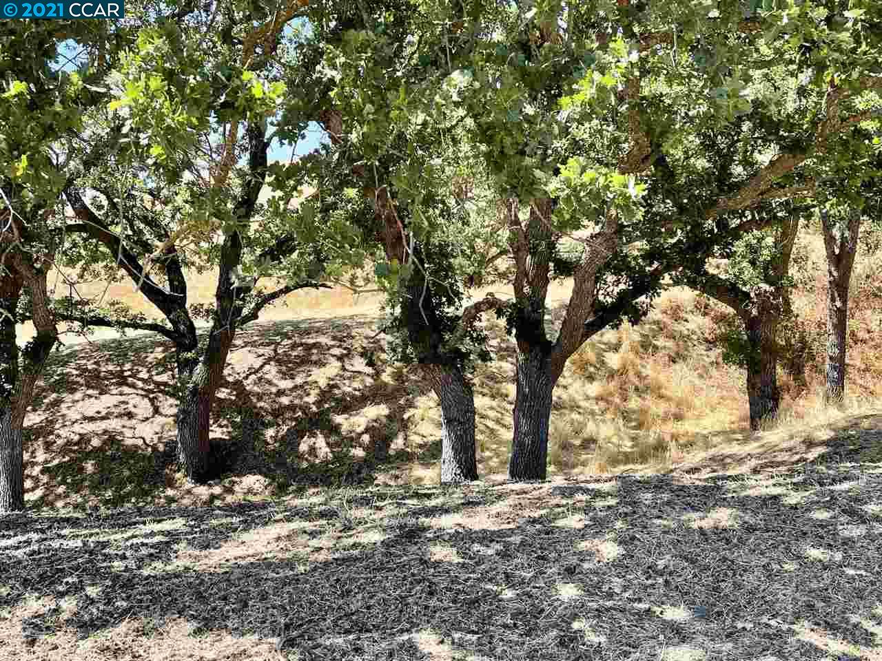 00 Hill Meadow Place, DANVILLE, California 94526, ,Lots And Land,For Sale,Hill Meadow Place,40965405