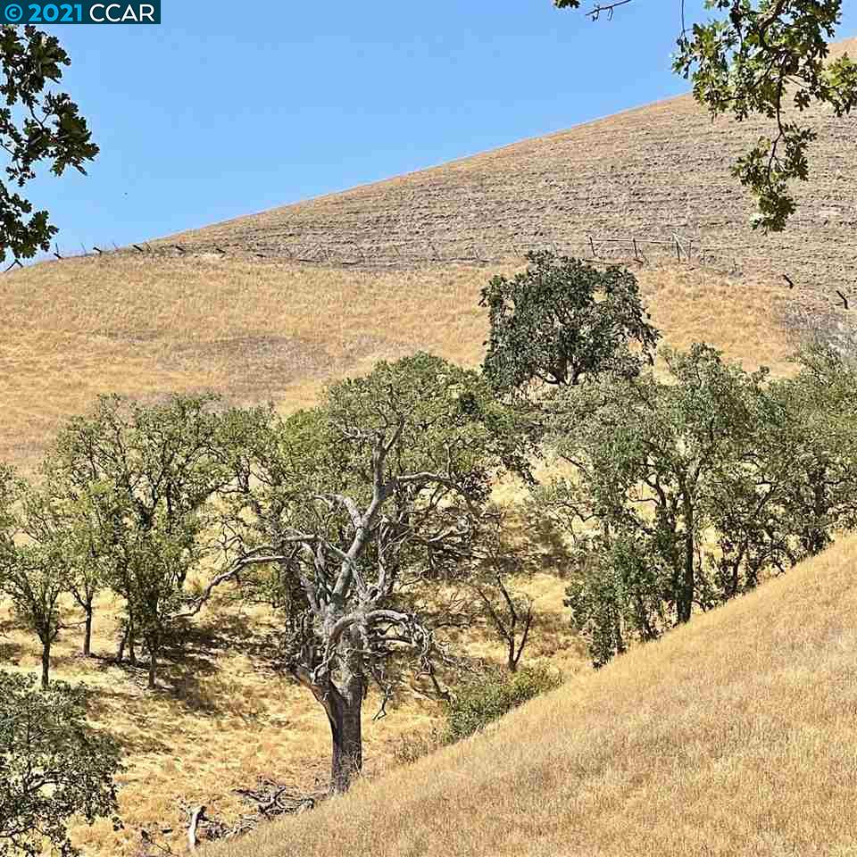 00 Hill Meadow Place, DANVILLE, California 94526, ,Lots And Land,For Sale,Hill Meadow Place,40965405