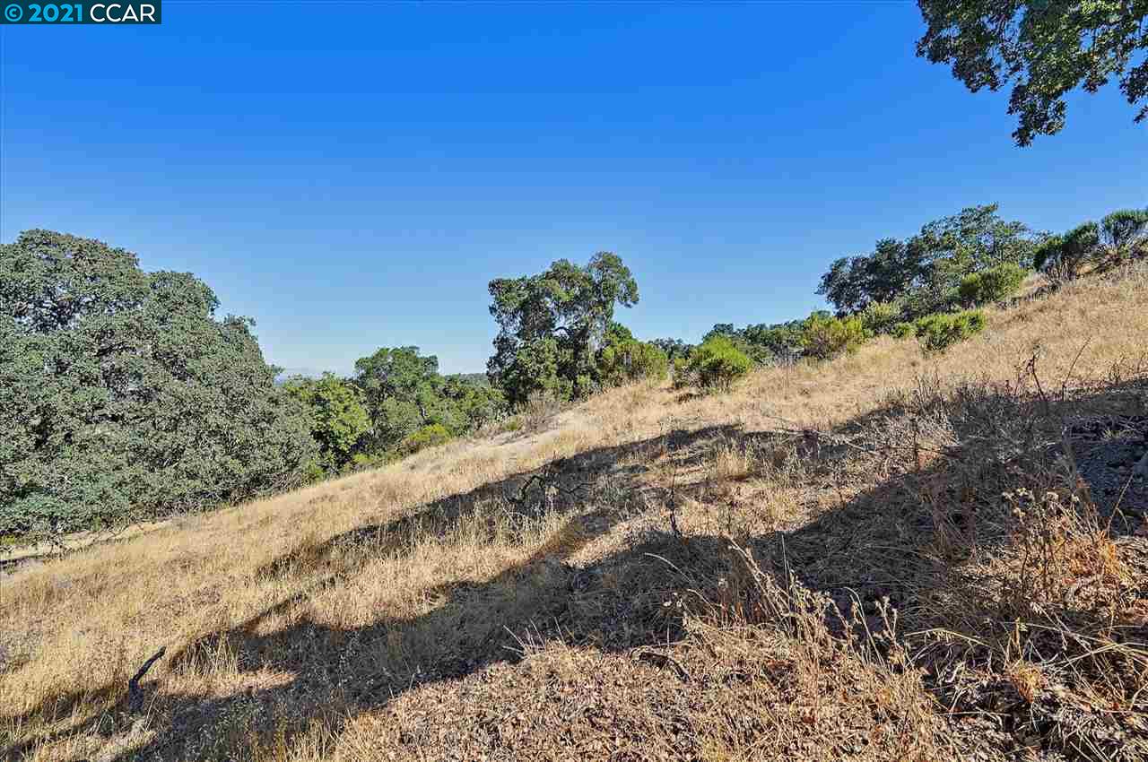 2291 Banyon Ct, GILROY, California 95020, ,Lots And Land,For Sale,Banyon Ct,40965472