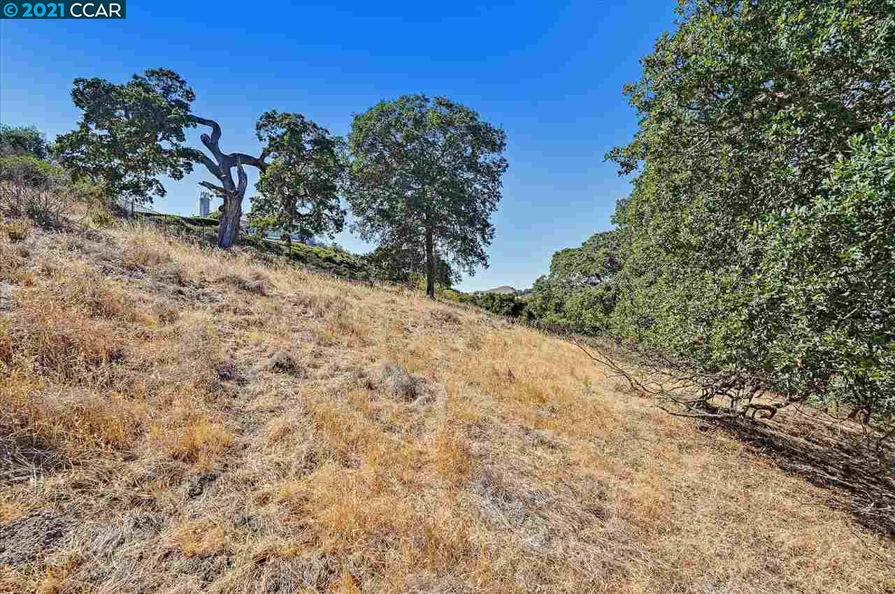 2291 Banyon Ct, GILROY, California 95020, ,Lots And Land,For Sale,Banyon Ct,40965472